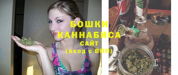 прущие грибы Инсар