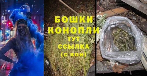 прущие грибы Инсар
