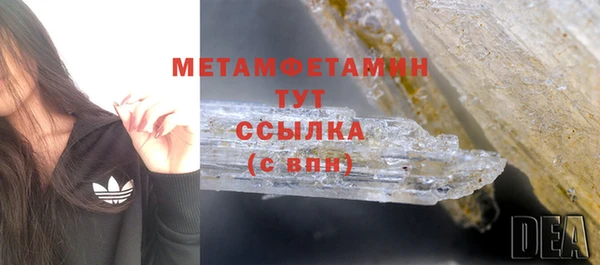 прущие грибы Инсар