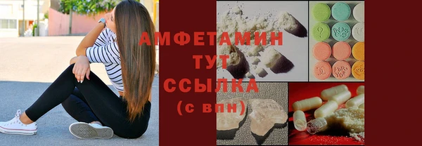 прущие грибы Инсар