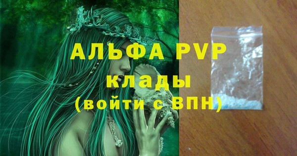 мдпв Инта