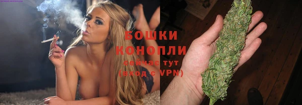 мдпв Инта