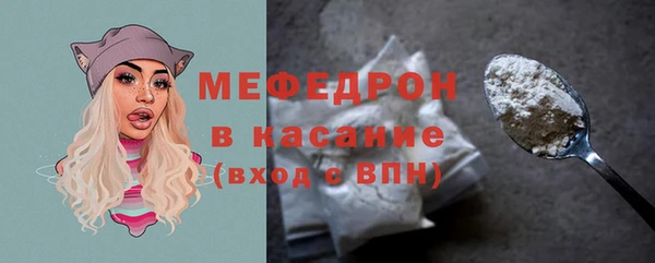 мдпв Инта