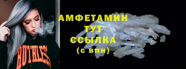 прущие грибы Инсар