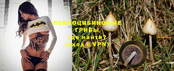 мдпв Инта