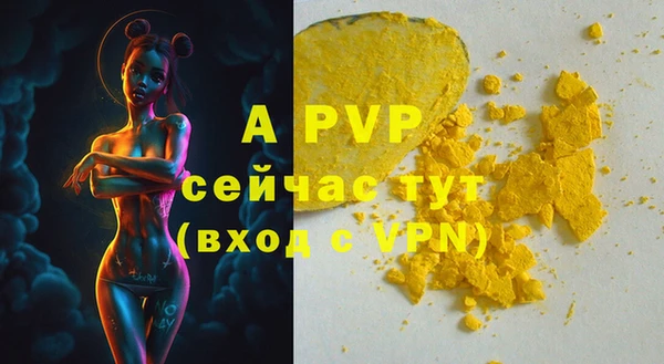 мдпв Инта