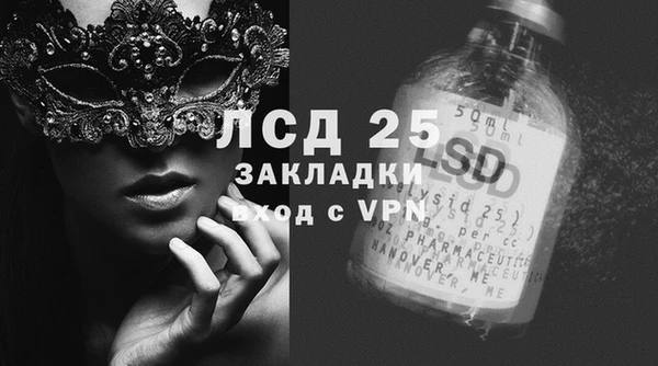 прущие грибы Инсар