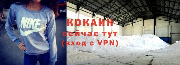 мдпв Инта