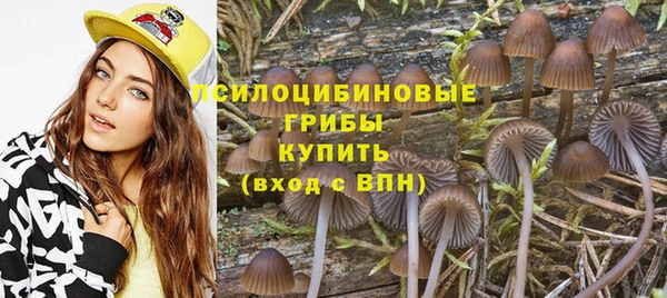 твердый Зерноград