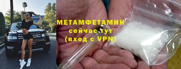 прущие грибы Инсар