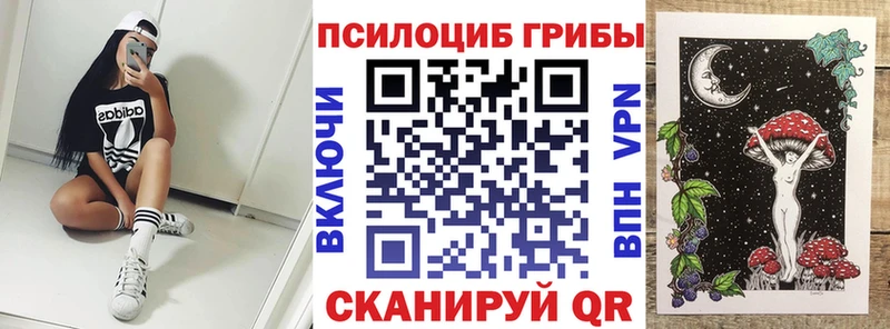 Псилоцибиновые грибы Psilocybe что такое Карпинск